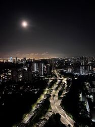 Avenue South Residence (D3), Apartment #498751391